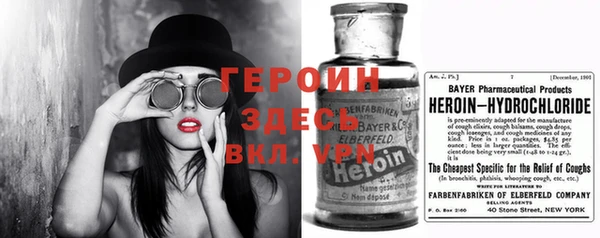 прущие грибы Абаза