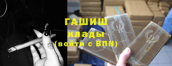 прущие грибы Абаза