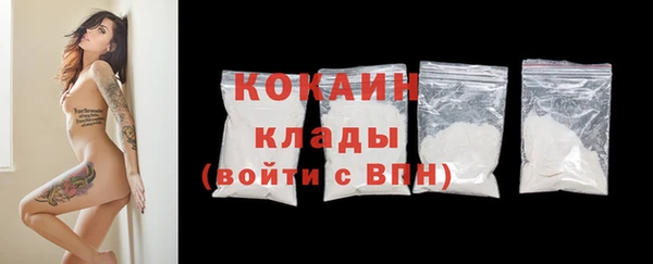 прущие грибы Абаза