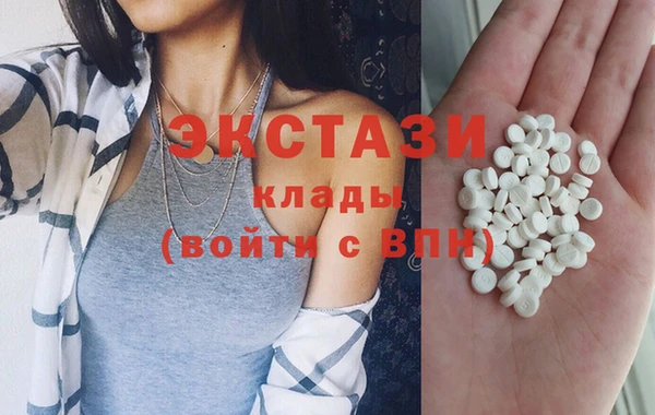 прущие грибы Абаза