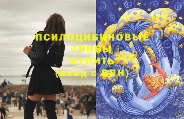 прущие грибы Абаза