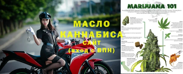 прущие грибы Абаза